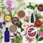 Essbare Blüten: Infos, Tipps und Rezepte